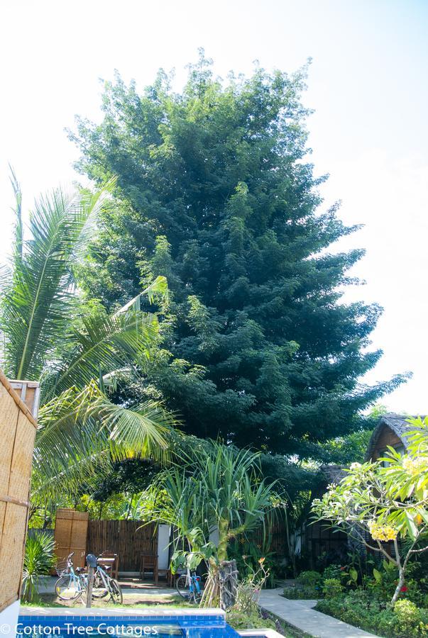 גילי טרוונגן Cotton Tree Cottages מראה חיצוני תמונה