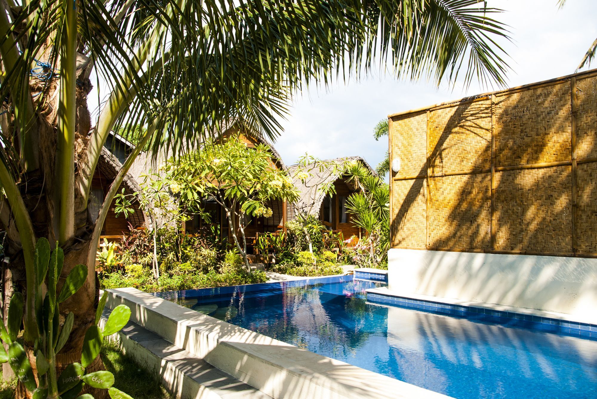 גילי טרוונגן Cotton Tree Cottages מראה חיצוני תמונה